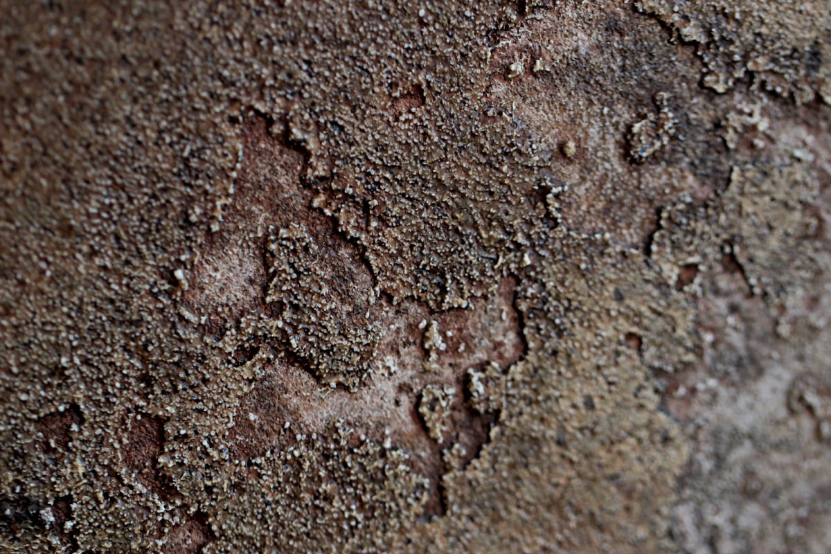 closeup-02