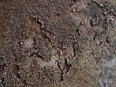 closeup-02