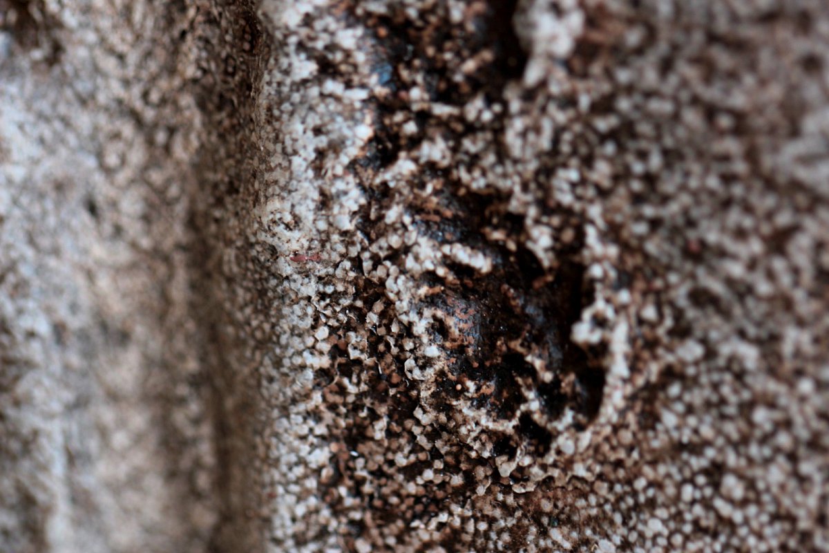 closeup-09