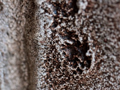 closeup-09