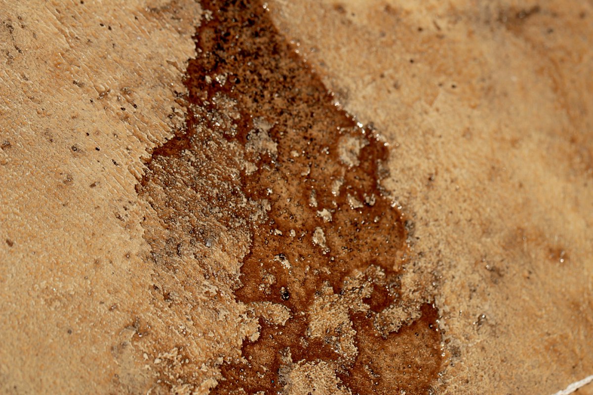 closeup-18