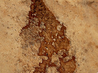 closeup-18