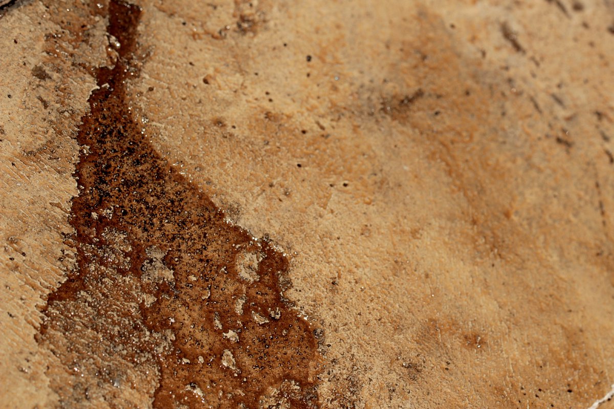 closeup-20