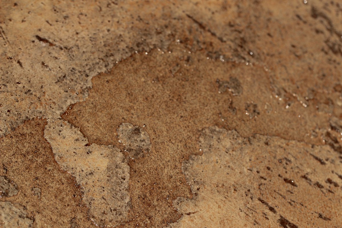 closeup-21