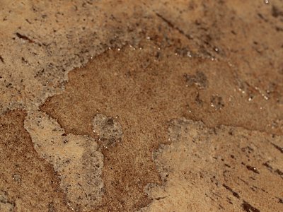 closeup-21