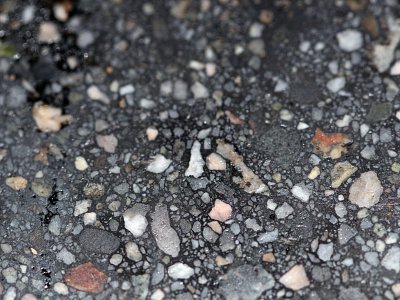closeup-40