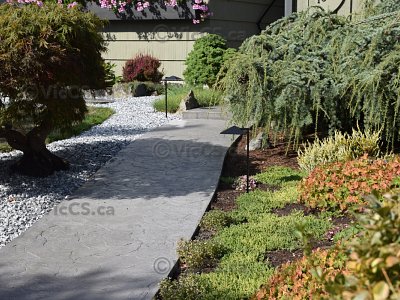 concretepicsrandom1481copy